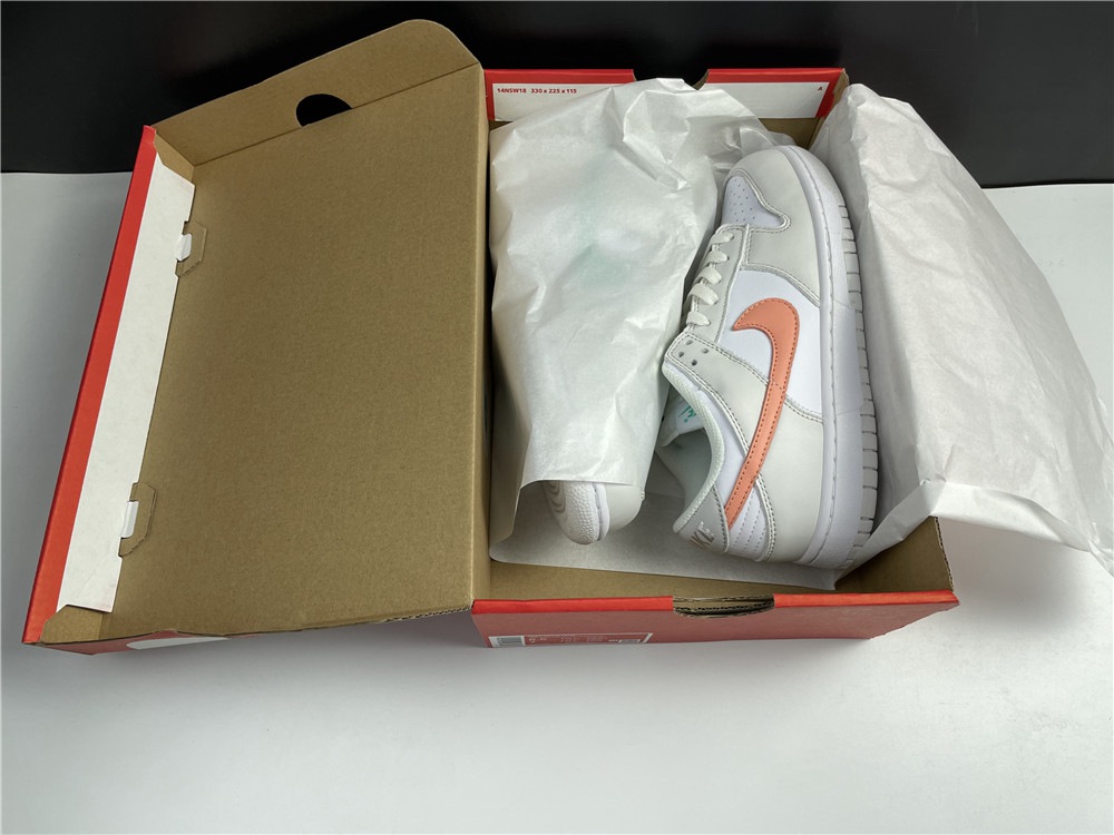 Nike Dunk Low  CW1590-101